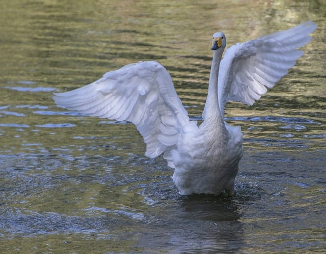 从“好听”到“好用”:广播电视频率背后的频谱之战 从“好听”到“好用”:广播电视频率背后的频谱之战