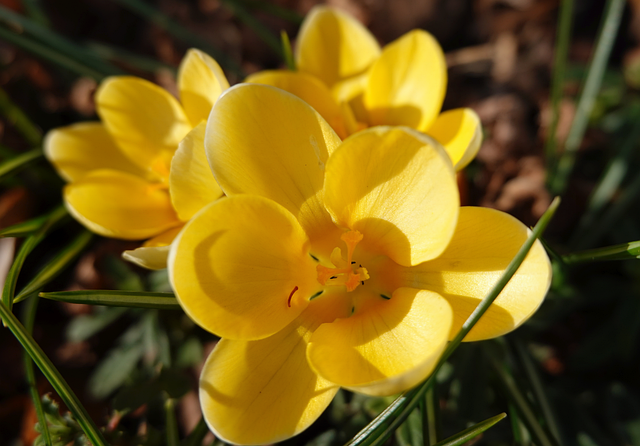 穿过信号与算法的迷雾：一名工程师眼中的广播电视技术新十年