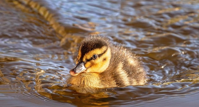 2025年电视剧：国产剧新天花板还是流量回旋镖一位制片人的冷静预判