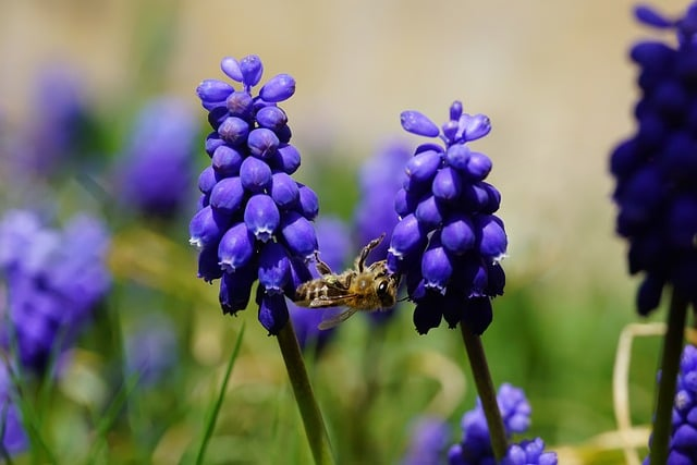 广告投放 价格怎么压到最低又把量跑爆一份给中小老板的冷静实战笔记