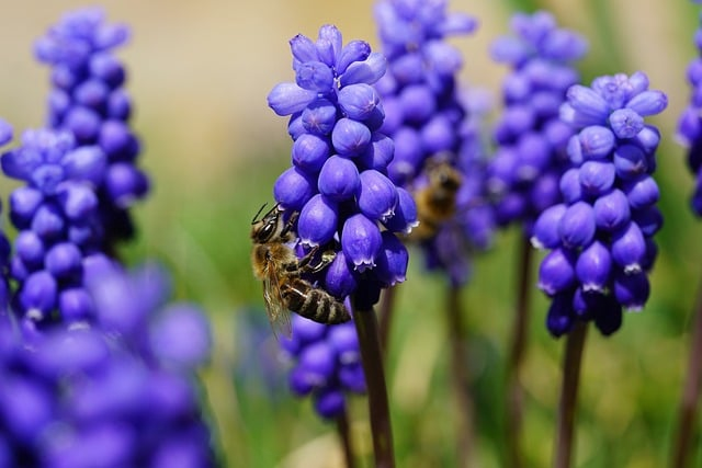 选对未来赛道：山东传媒职业学院数字广播电视技术真的值不值行业老师的一线拆解