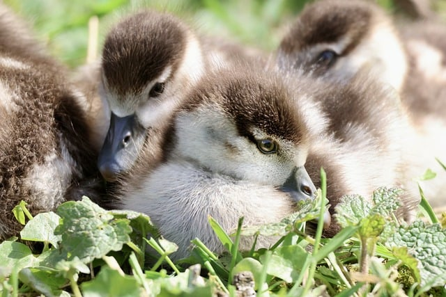 告别“看不懂资费表”:广电数字电视基本包到底值不值得装行业老兵一文说透 告别“看不懂资费表”:广电数字电视基本包到底值不值得装行业老兵一文说透