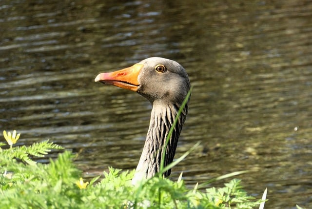 资深剧评人带你看懂2025电视剧排行榜最新热播剧：真香剧、烂尾雷区一文说透
