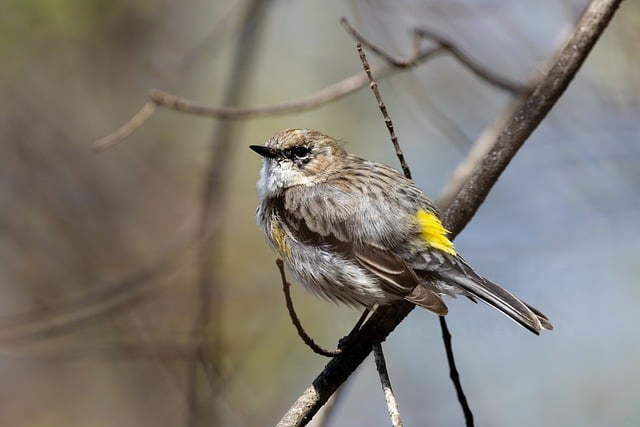 电视台广播设备升级避坑指南:2025年台长和工程部必须搞清的5个真相 电视台广播设备升级避坑指南:2025年台长和工程部必须搞清的5个真相